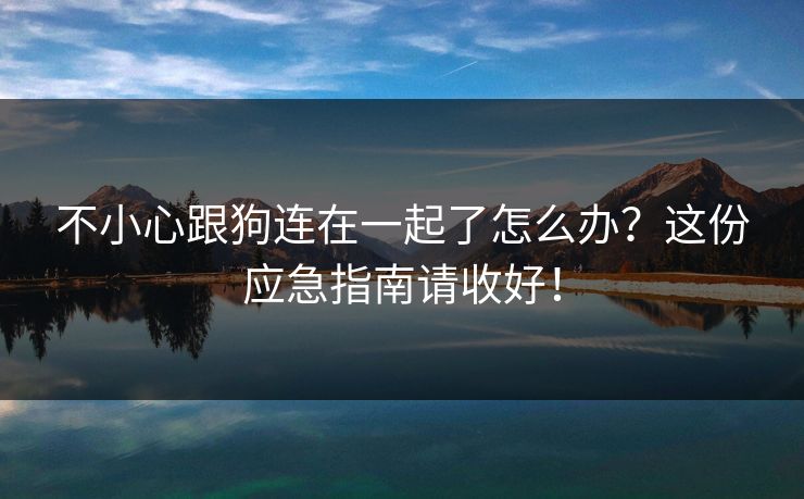 不小心跟狗连在一起了怎么办？这份应急指南请收好！