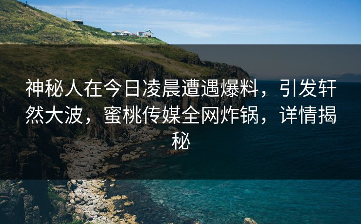 神秘人在今日凌晨遭遇爆料，引发轩然大波，蜜桃传媒全网炸锅，详情揭秘